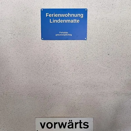 1,5 Lindenmatte Berner Oberland Apartment *