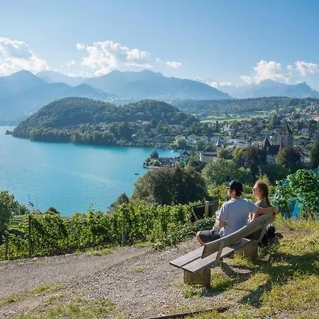 Appartamento 1,5 Lindenmatte Berner Oberland Frutigen