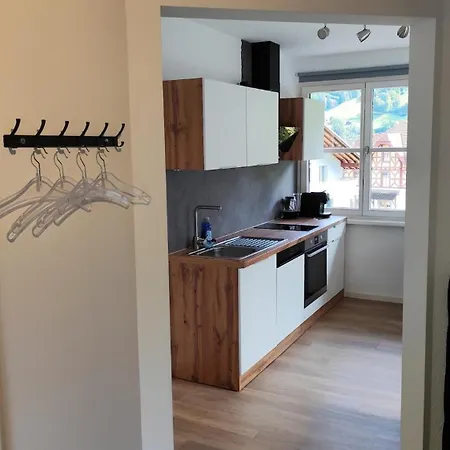 1,5 Lindenmatte Berner Oberland Апартаменты Фрутиген