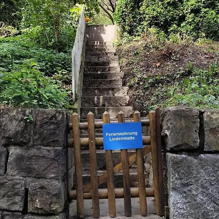 Апартаменты 1,5 Lindenmatte Berner Oberland Фрутиген