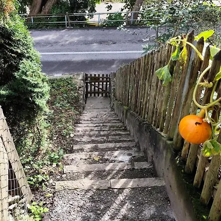 1,5 Lindenmatte Berner Oberland * Фрутиген