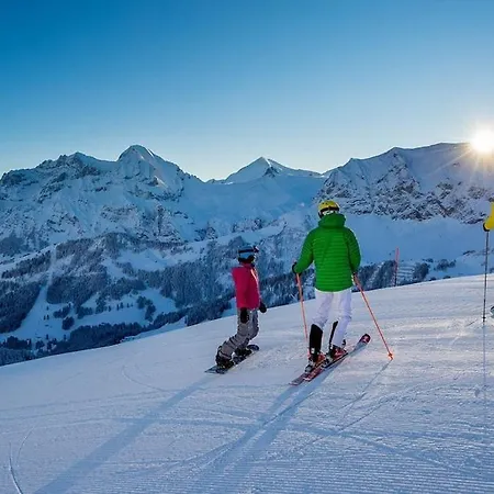 1,5 Lindenmatte Berner Oberland Апартаменты