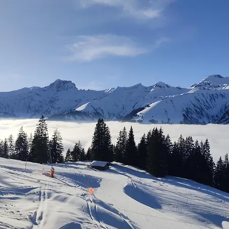 1,5 Lindenmatte Berner Oberland Фрутиген